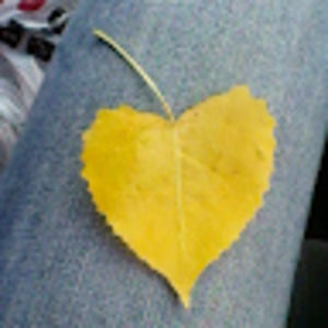 Meet your Posher, Vanessa